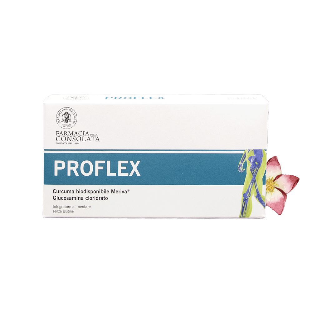 PROFLEX