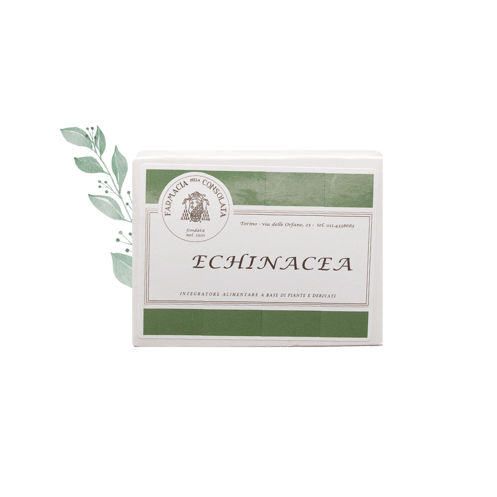echinacea